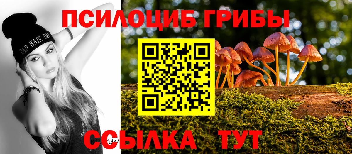 Галлюциногенные грибы MAGIC MUSHROOMS  Вход с VPN  Кемерово 