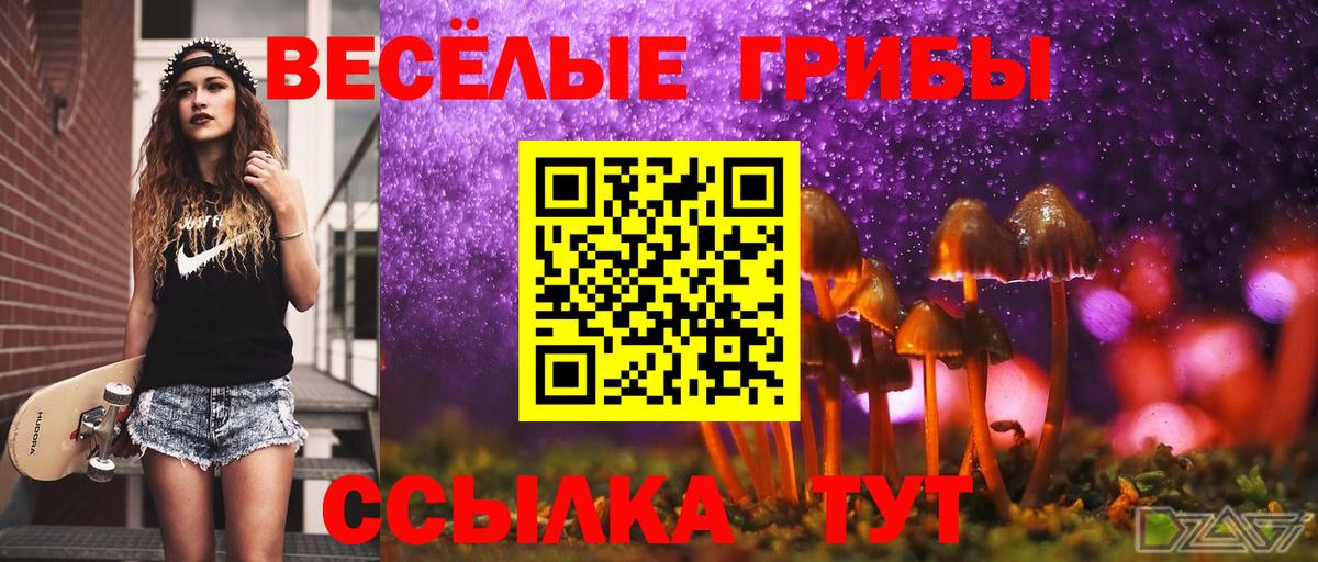 Галлюциногенные грибы GOLDEN TEACHER Кемерово